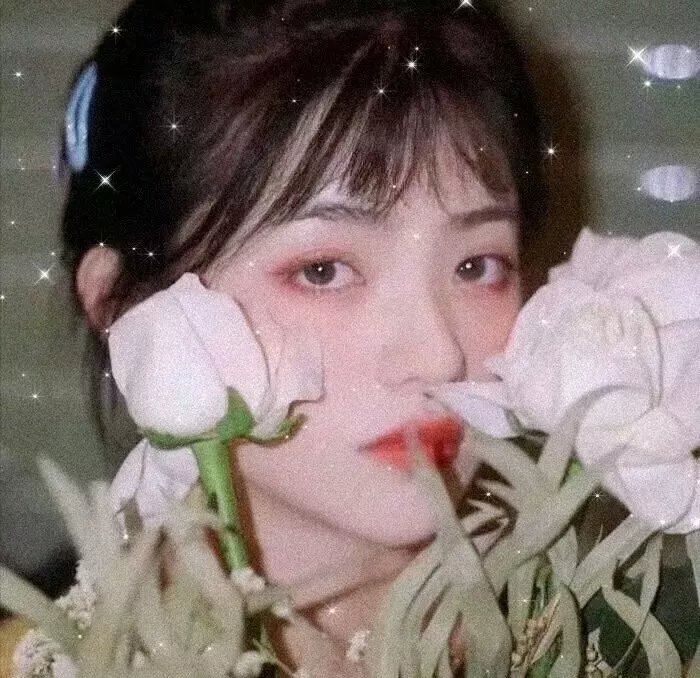 今天的恋爱